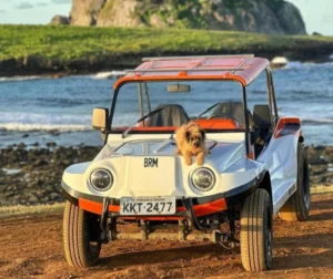 Aluguel de Buggy